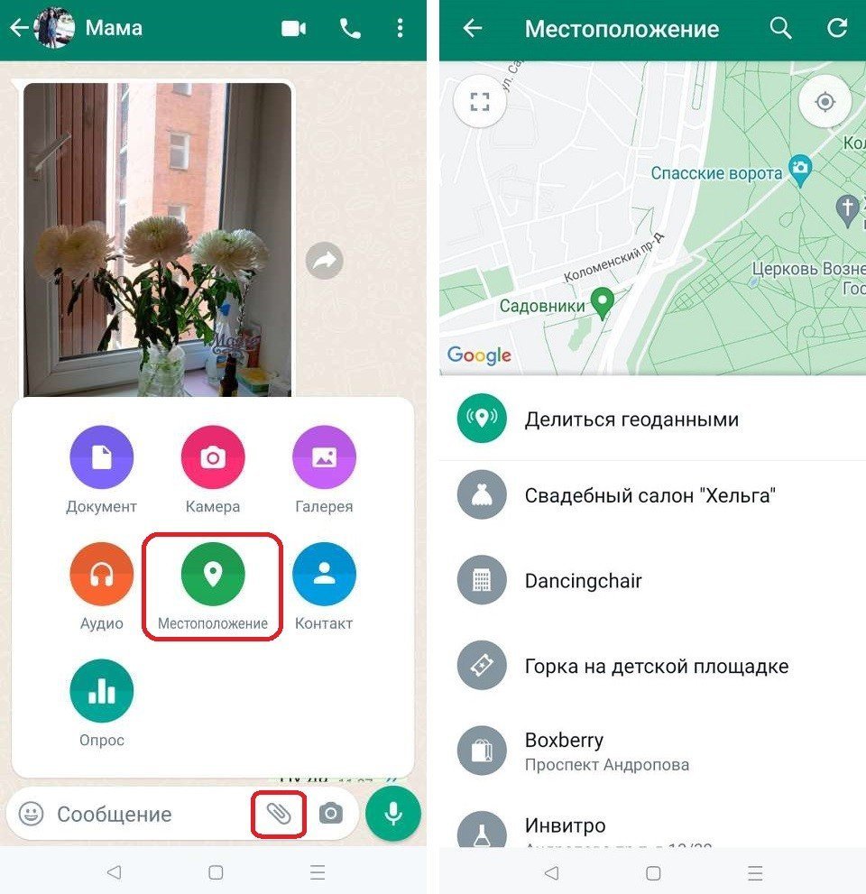 Как переслать геолокацию по ватсапу. Геолокация. как отправить геолокацию в ватсапе. как отправить геолокацию через ватсап. как установить геолокацию в ватсапе.