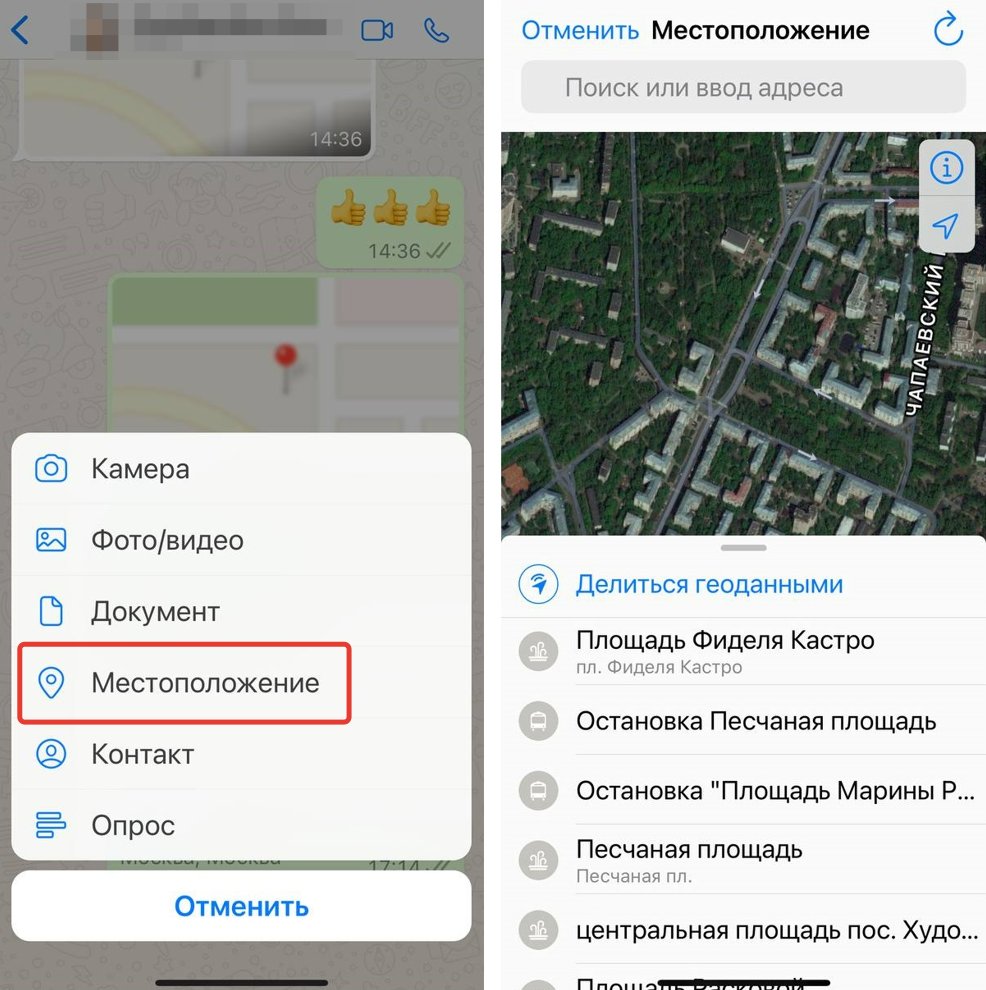 Как переслать геолокацию по ватсапу. Скинуть точку геолокации. как по вацапу отправить геолокацию. отправка геолокации в whatsapp. отслеживание геопозиции на айфоне.