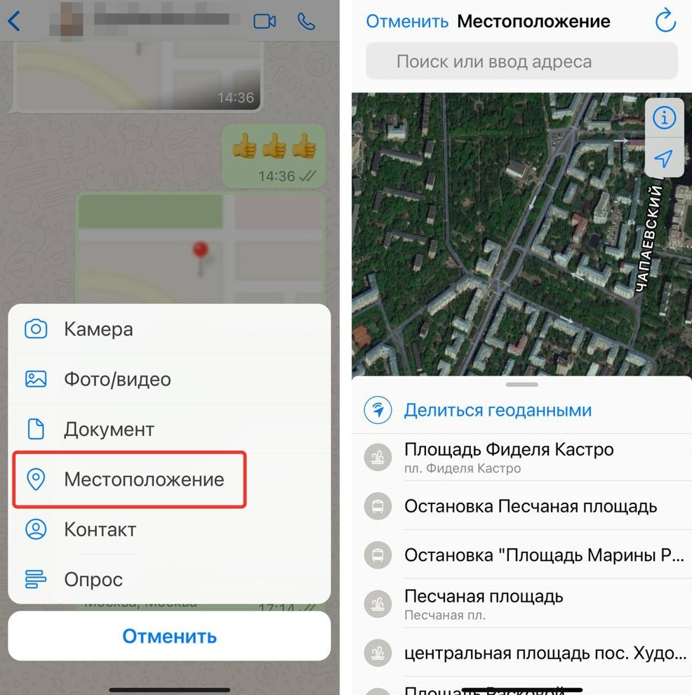 Геолокация через ватсап как отправить. Скинуть точку геолокации. Как по вацапу отправить геолокацию. Отправка геолокации в WHATSAPP. Отслеживание геопозиции на айфоне.