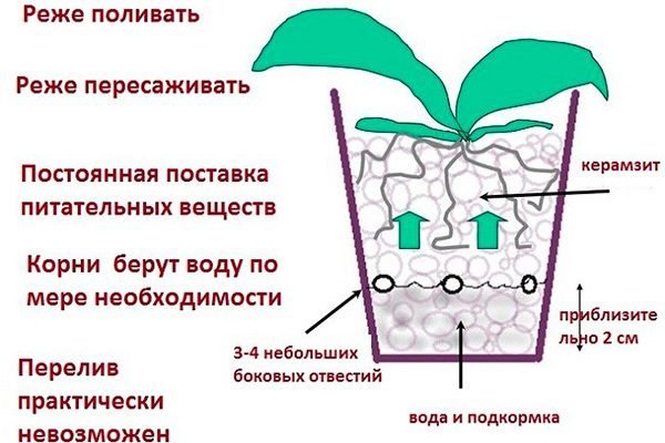 Чем можно заменить керамзит для орхидеи