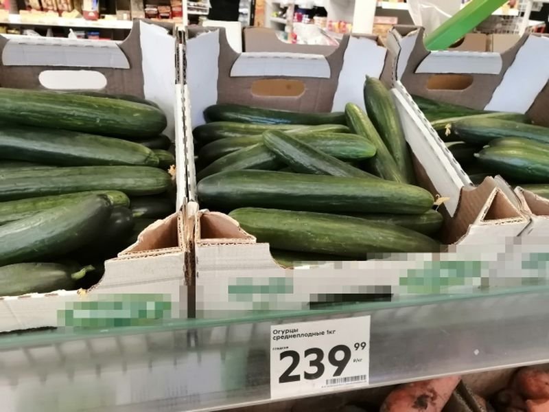 почему подорожали огурцы. большой огурец. почему подорожали огурцы. цена 1 кг огурцов в магадане. огурцы.