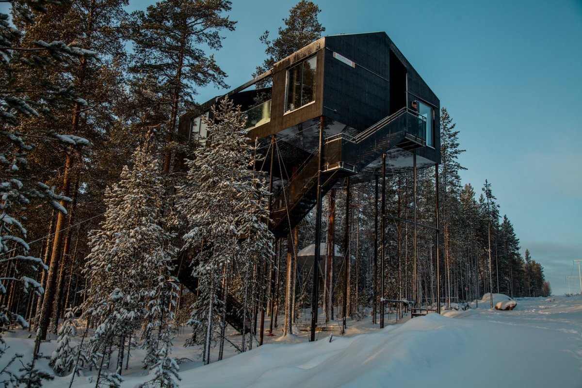 Деревья норвегии. Гостиница на дереве, Швеция (Treehotel). Эко отель Treehotel в Швеции. Вилла the 7th Room в гостинице Treehotel. Treehotel Швеция Стрекоза.