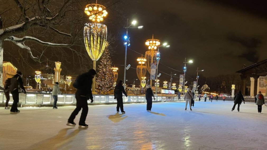 Москва сад эрмитаж proлед