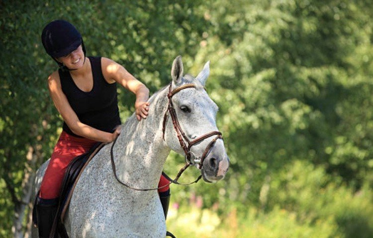 Верховая езда на лошади, как отличный фитнес для всего тела | Конный ...