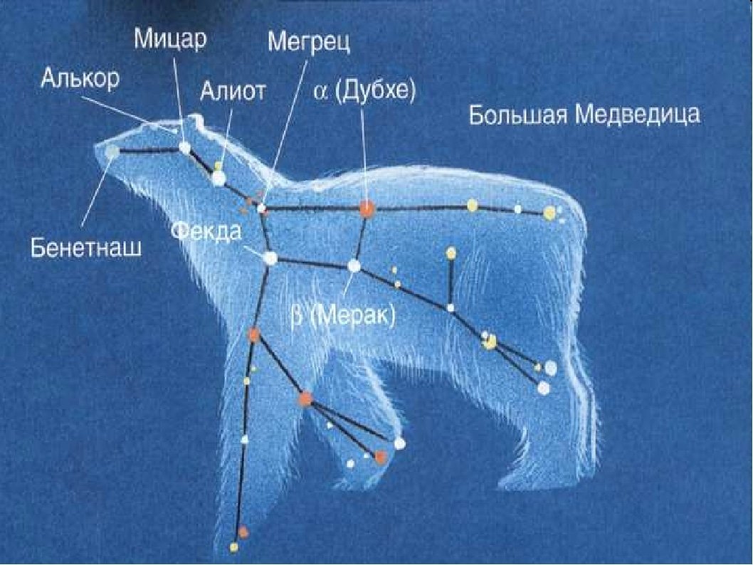 Чертеж большая медведица