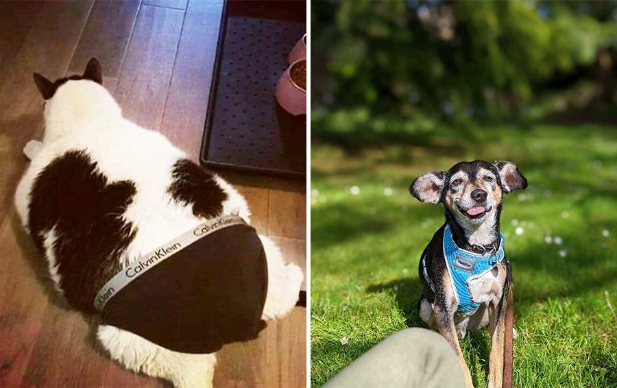 14 смешных. 14 смешных. Смешные дети. Мемы про новую зеландию. 12 смешных пранков и лайфхаков со сладостями.