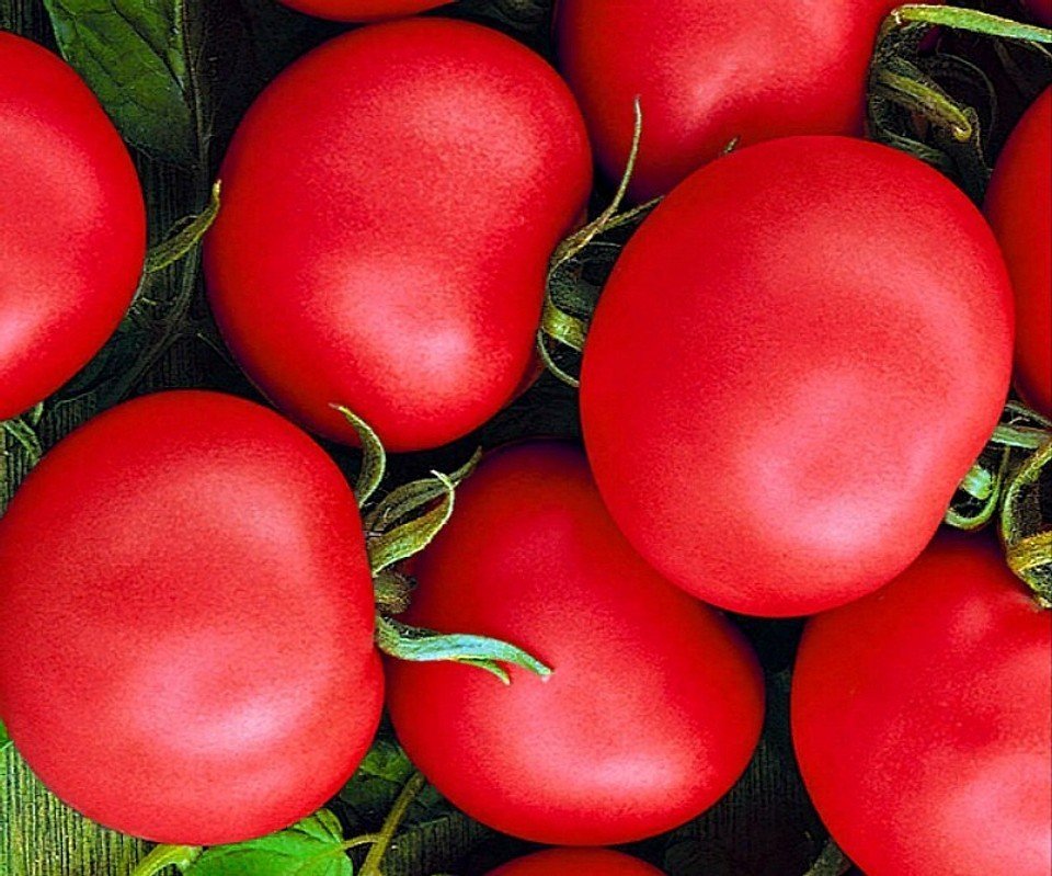 Семена томатов название. Томат драйв f1.