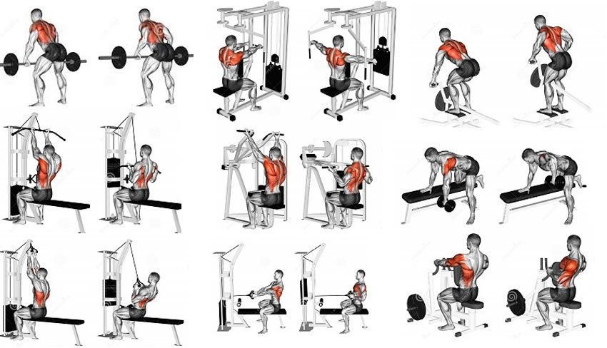 Упражнения на спину в тренажерном зале для мужчин на рельеф с картинками