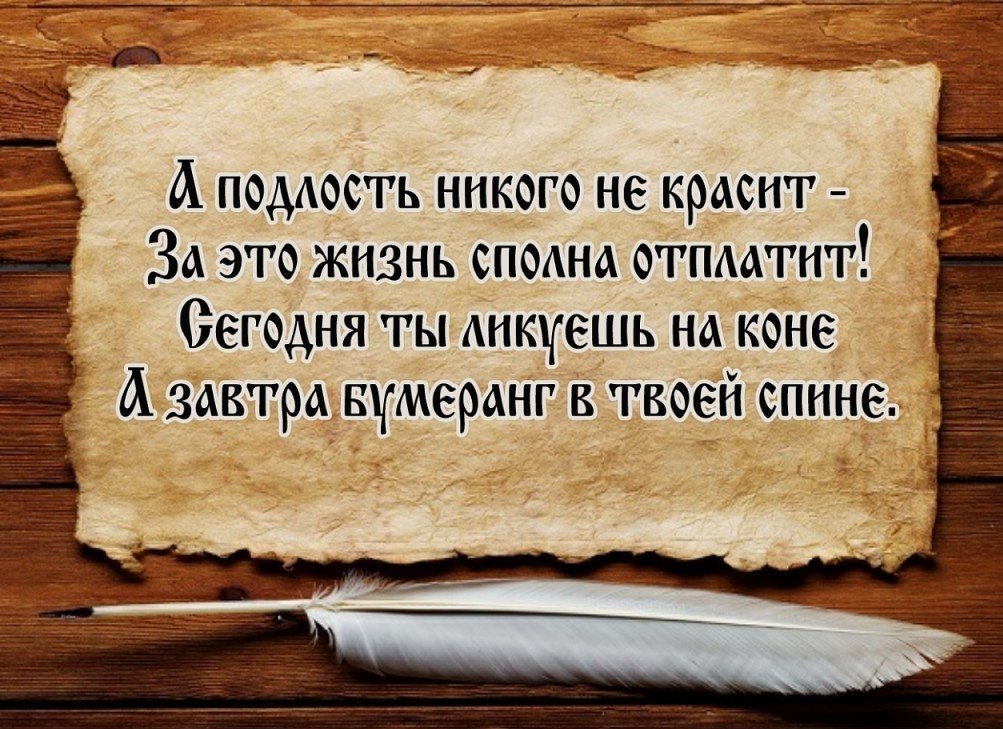 Подлые люди картинки