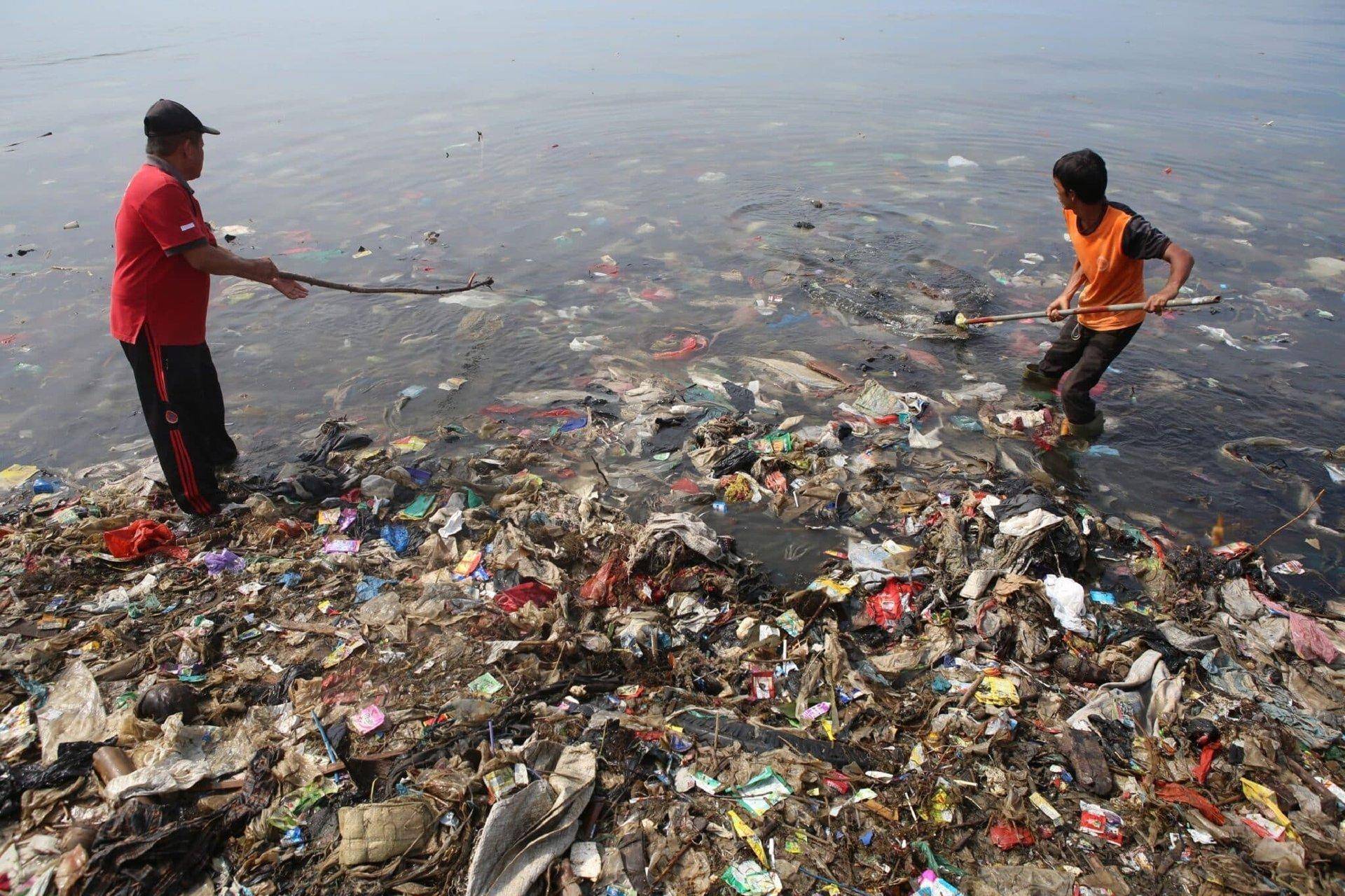 Земля потерпит. Пластик в океане. Рыбы в мусоре. Загрязнение пластиком.